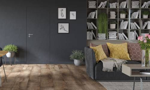 Dvere Classen - Compact